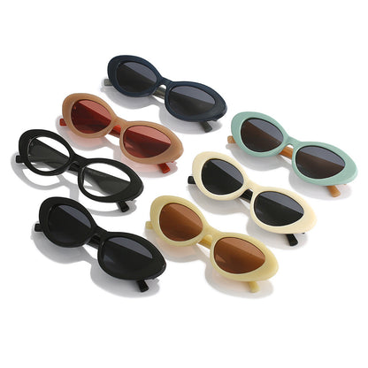 2023 Cat Eye Small Frame PC Sunglasses