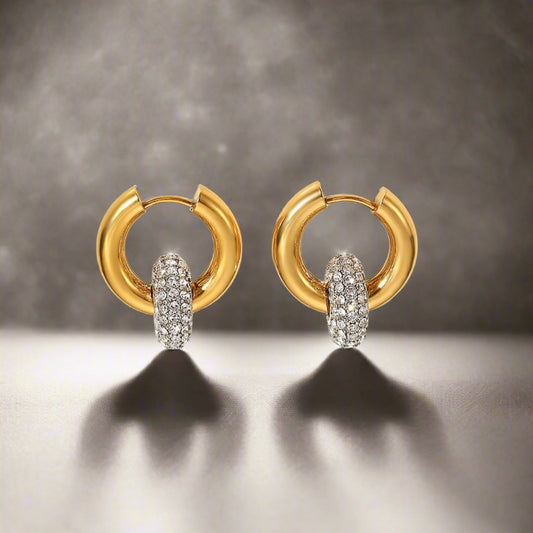 18K Gold Plated Stainless Steel Earrings