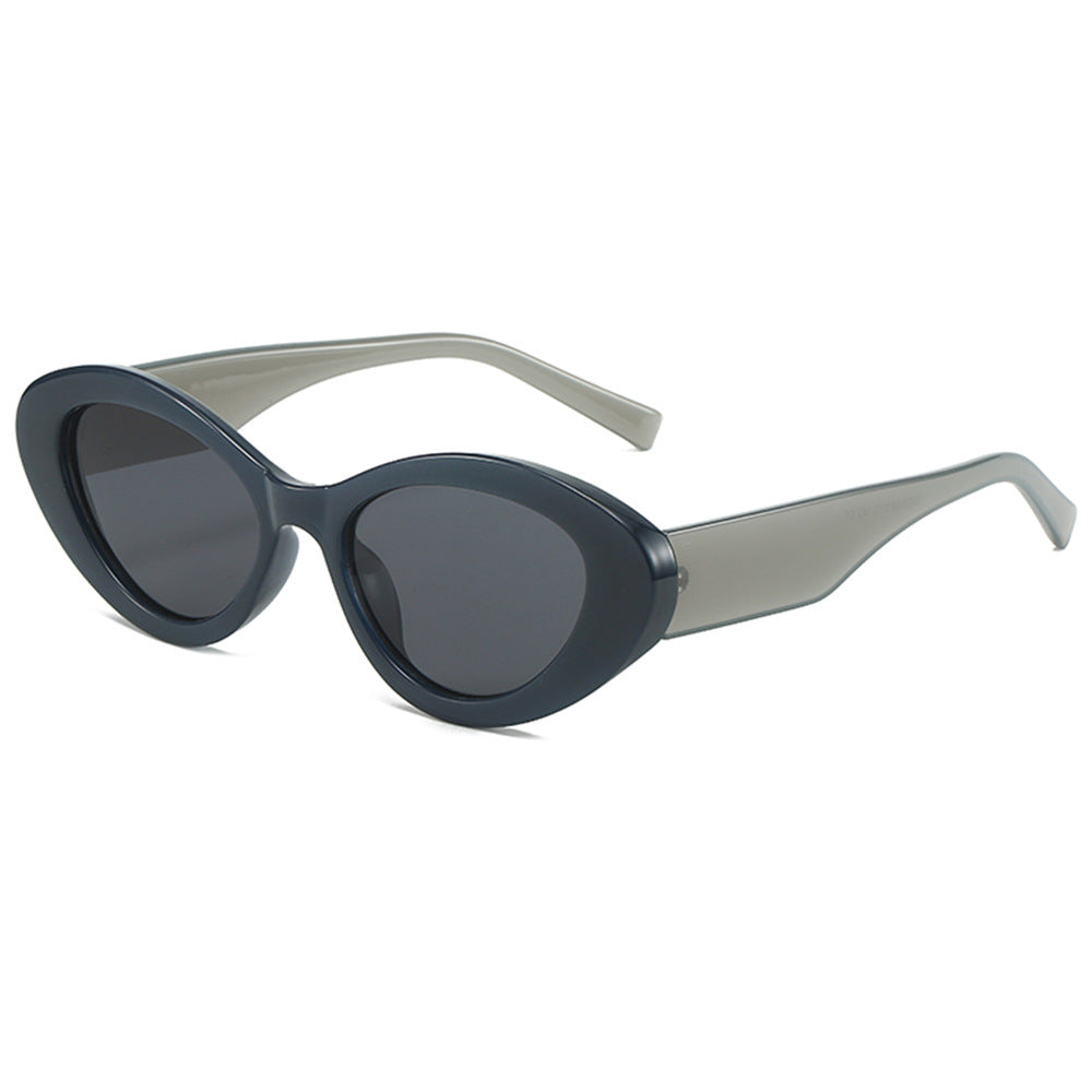 2023 Cat Eye Small Frame PC Sunglasses