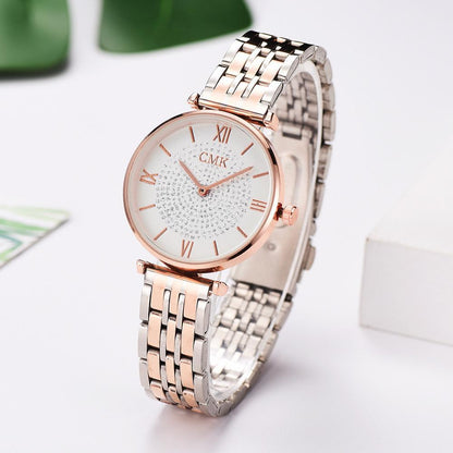 Women Watches Simple Elegant Ladies Stainless Steel Wrsiwtwatch