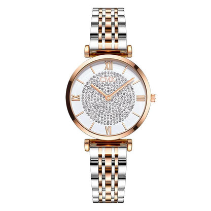 Women Watches Simple Elegant Ladies Stainless Steel Wrsiwtwatch